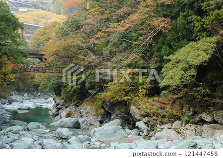 祖谷葛橋/日本最奇特的三座橋樑【德島縣三好市西祖山村四德】 121447458