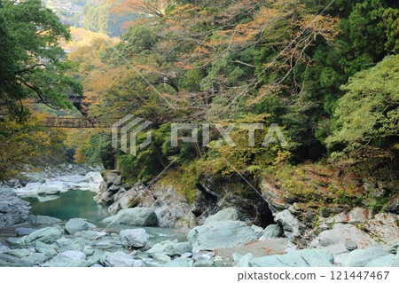 Iya's Kazura Bridge / One of Japan's Three Unusual Bridges [Zentoku, Nishiiyayama Village, Miyoshi City, Tokushima Prefecture] 121447467
