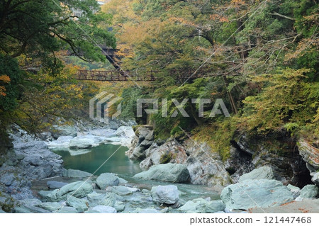 祖谷葛橋/日本最奇特的三座橋樑【德島縣三好市西祖山村四德】 121447468