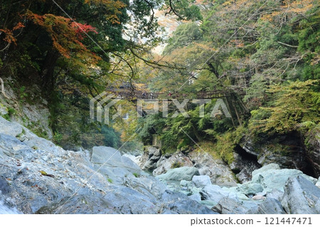Iya's Kazura Bridge / One of Japan's Three Unusual Bridges [Zentoku, Nishiiyayama Village, Miyoshi City, Tokushima Prefecture] 121447471