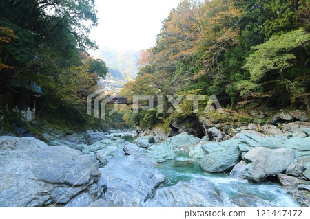 祖谷葛橋/日本最奇特的三座橋樑【德島縣三好市西祖山村四德】 祖谷葛橋/日本最奇特的三座橋樑【德島縣三好市西祖山村四德】 121447472