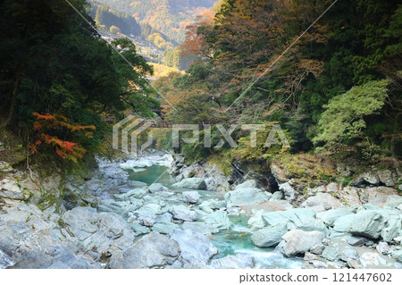 Iya's Kazura Bridge / One of Japan's Three Unusual Bridges [Zentoku, Nishiiyayama Village, Miyoshi City, Tokushima Prefecture] 121447602