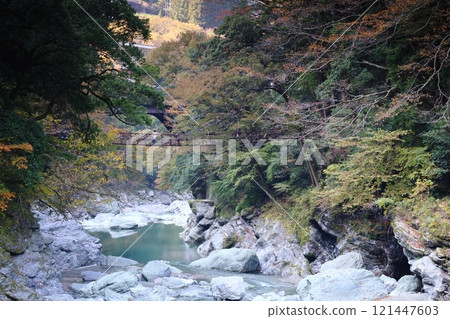 Iya's Kazura Bridge / One of Japan's Three Unusual Bridges [Zentoku, Nishiiyayama Village, Miyoshi City, Tokushima Prefecture] 121447603