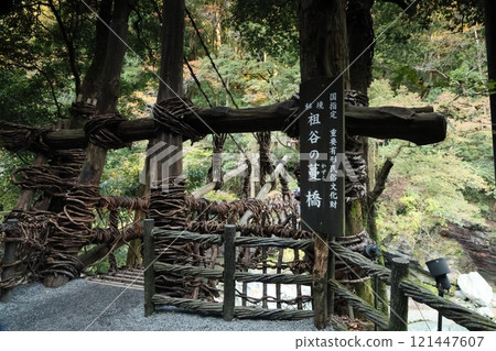 Iya's Kazura Bridge / One of Japan's Three Unusual Bridges [Zentoku, Nishiiyayama Village, Miyoshi City, Tokushima Prefecture] 121447607