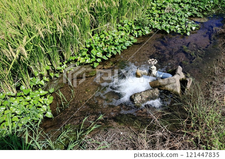 將水輸送到稻田的噴嘴 121447835