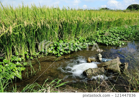 將水輸送到稻田的噴嘴 將水輸送到稻田的噴嘴 121447836