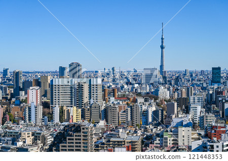 Tokyo cityscape and Skytree 121448353