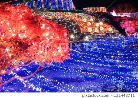 [Kagawa Prefecture] Winter National Sanuki Mannou Park (Illumination) 121448711