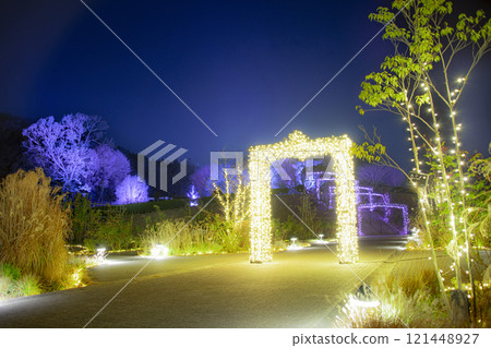 Illuminations at Ibaraki Flower Park Illuminations at Ibaraki Flower Park 121448927
