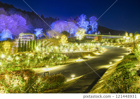 Illuminations at Ibaraki Flower Park Illuminations at Ibaraki Flower Park 121448931