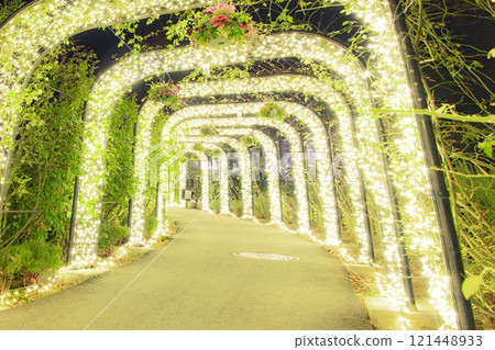 Illuminations at Ibaraki Flower Park Illuminations at Ibaraki Flower Park 121448933