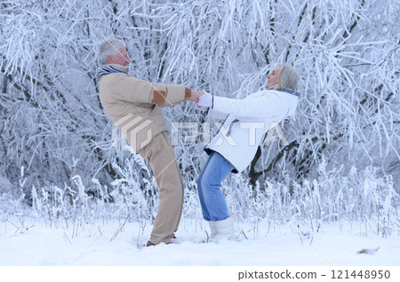 An elderly couple walks in a winter park 121448950