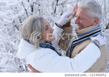 An elderly couple walks in a winter park 121448952