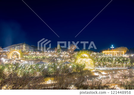 Illuminations at Ibaraki Flower Park Illuminations at Ibaraki Flower Park 121448958