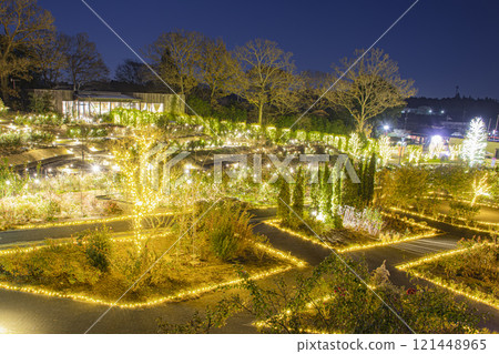Illuminations at Ibaraki Flower Park Illuminations at Ibaraki Flower Park 121448965
