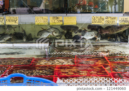 A variety of fresh seafood in aquariums at the street market 121449060