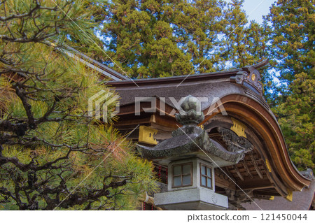 松樹、燈籠和神社 松樹、燈籠和神社 121450044