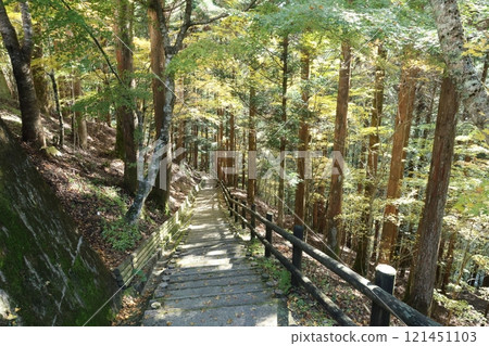 Oku-Iya Double Kazura Bridge / 88 Scenic Views of Shikoku [Higashiso-Sugao, Miyoshi City, Tokushima Prefecture] 121451103
