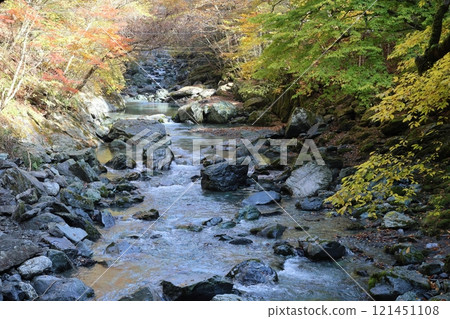 Oku-Iya Double Kazura Bridge / 88 Scenic Views of Shikoku [Higashiso-Sugao, Miyoshi City, Tokushima Prefecture] 121451108