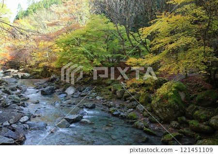 Oku-Iya Double Kazura Bridge / 88 Scenic Views of Shikoku [Higashiso-Sugao, Miyoshi City, Tokushima Prefecture] 121451109