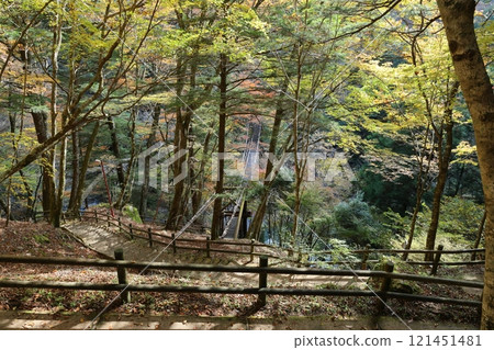 奧祖谷雙蒲橋(男橋)/四國88景【德島縣三好市土總須鄉】 奧祖谷雙蒲橋(男橋)/四國88景【德島縣三好市土總須鄉】 121451481
