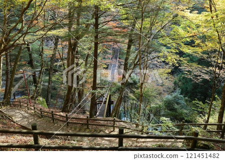 奧祖谷雙蒲橋(男橋)/四國88景【德島縣三好市土總須鄉】 奧祖谷雙蒲橋(男橋)/四國88景【德島縣三好市土總須鄉】 121451482