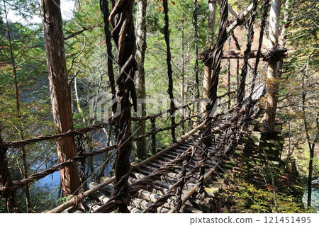 Oku-Iya Double Kazura Bridge (Otokobashi) / 88 Views of Shikoku [Higashiso-Sugao, Miyoshi City, Tokushima Prefecture] 121451495