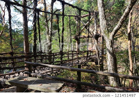 Oku-Iya Double Kazura Bridge (Otokobashi) / 88 Views of Shikoku [Higashiso-Sugao, Miyoshi City, Tokushima Prefecture] 121451497