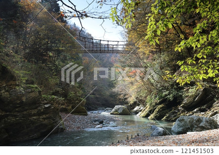 奧祖谷雙蒲橋（男橋）/四國88景【德島縣三好市土總須鄉】 121451503