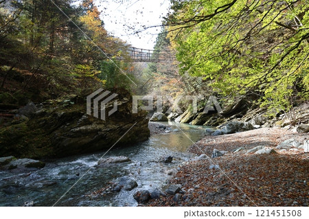 Oku-Iya Double Kazura Bridge (Otokobashi) / 88 Views of Shikoku [Higashiso-Sugao, Miyoshi City, Tokushima Prefecture] 121451508
