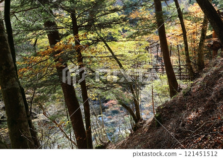 Oku-Iya Double Kazura Bridge (Otokobashi) / 88 Views of Shikoku [Higashiso-Sugao, Miyoshi City, Tokushima Prefecture] 121451512