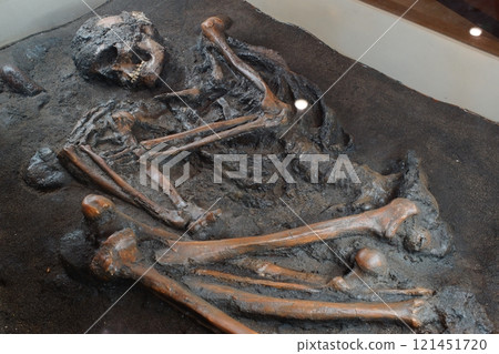 彌生時代的人骨 121451720