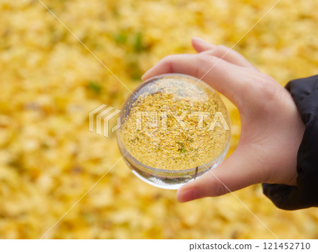 女手握玻璃水晶球與落黃銀杏葉景觀 女手握玻璃水晶球與落黃銀杏葉景觀 121452710