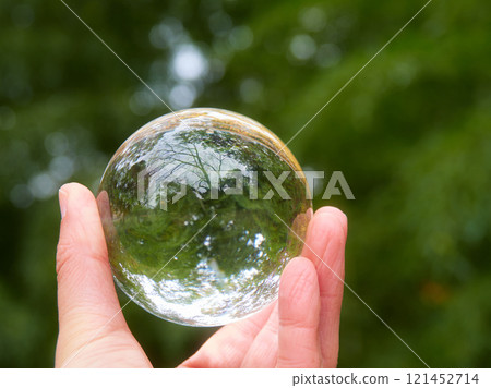 Male hand holding glass crystal ball in winter park and forest bamboo forest landscape Male hand holding glass crystal ball in winter park and forest bamboo forest landscape 121452714