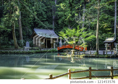 Oguni Shrine, Hachioji Shrine and Kotomachi Pond, Morimachi, Shizuoka Prefecture 121453576