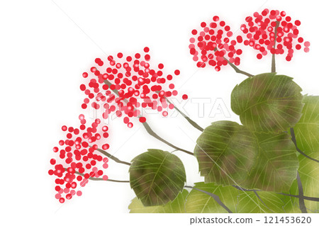 Viburnum berry card 121453620