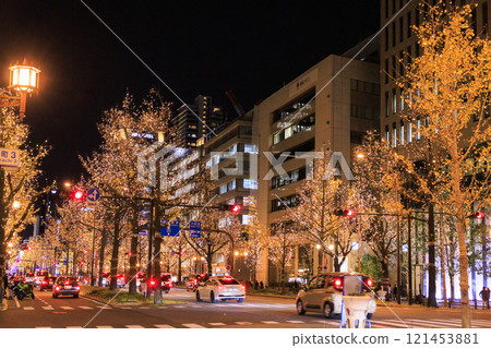 Osaka Midosuji Winter Illuminations 121453881