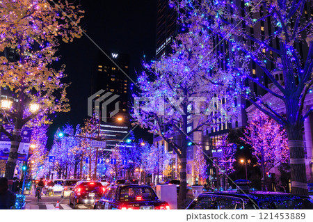 Osaka Midosuji Winter Illuminations 121453889