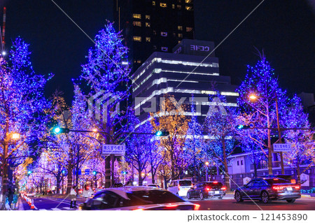 Osaka Midosuji Winter Illuminations 121453890