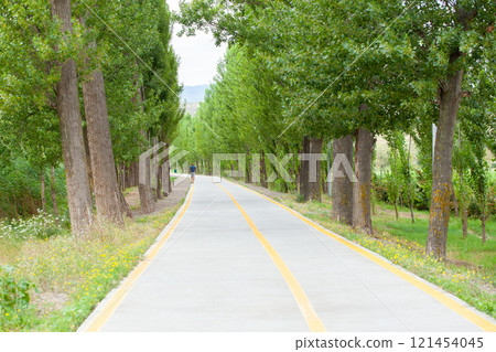 Bicycle and pedestrian path around Lake Lisi, Tbilisi 121454045
