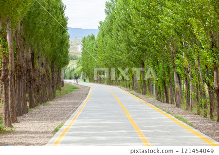 Bicycle and pedestrian path around Lake Lisi, Tbilisi 121454049