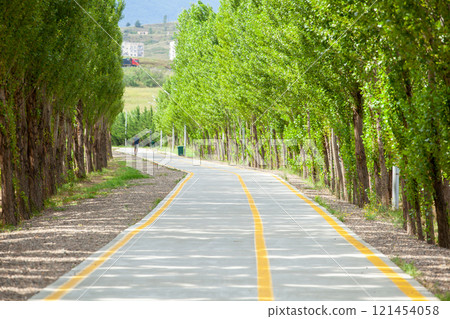 Bicycle and pedestrian path around Lake Lisi, Tbilisi Bicycle and pedestrian path around Lake Lisi, Tbilisi 121454058