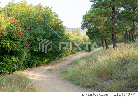 Dirt road in Lisi public park in Tbilisi Dirt road in Lisi public park in Tbilisi 121454077