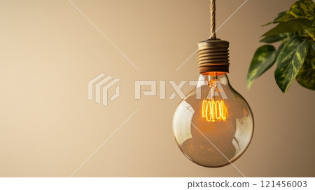 Vintage incandescent light bulb with plant on beige background, warm ambiance concept 121456003