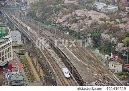 Joetsu Shinkansen Ueno-Omiya JR East E4 Series P81+P3 (Niigata) Max Toki Max Tanigawa 121456219
