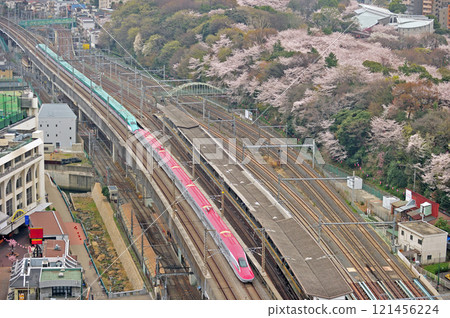 Joetsu Shinkansen Ueno-Omiya JR East E6 series Z4 formation (Akita) + E5 series U21 formation (Sendai) Hayabusa 121456224