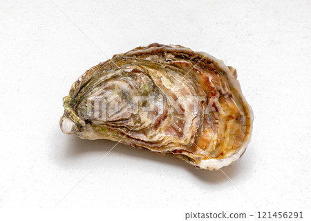 One Oyster Shell One Oyster Shell 121456291