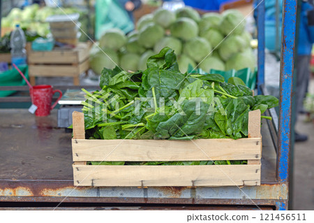 Spinach in Crate Spinach in Crate 121456511