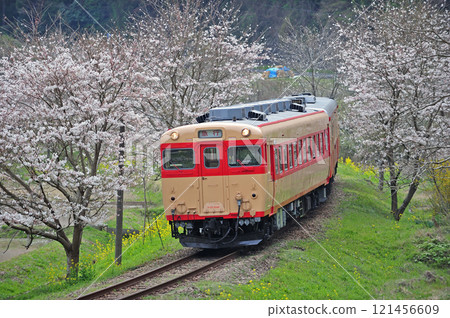 Isumi Railway Kugahara-Higashi Somoto Kiha 28-2346 + Kiha 52-125 Isumi Railway Kugahara-Higashi Somoto Kiha 28-2346 + Kiha 52-125 121456609