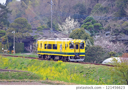 Isumi Railway, Shiromigaoka-Kazusa-Nakagawa, Isumi 302 Isumi Railway, Shiromigaoka-Kazusa-Nakagawa, Isumi 302 121456623
